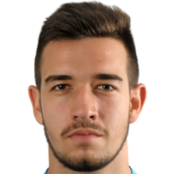 Stefan Radojicic fm 2020