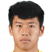 Zhang Zhenqiang fm20