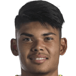 Anthony Pinthus fm20