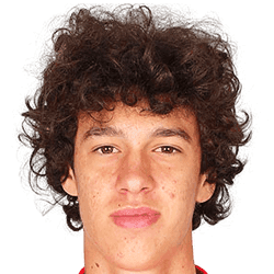 Petar Pavlicevic fm20