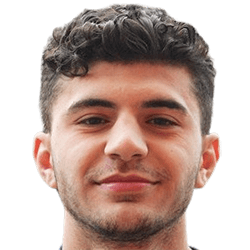 Brendon Shabani fm20