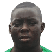 Sébastien Fuakuingi fm20