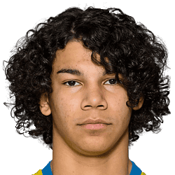 Benjamin Arapovic fm20