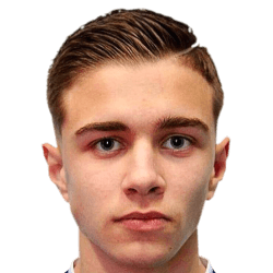 Faris Zubanovic fm 2020