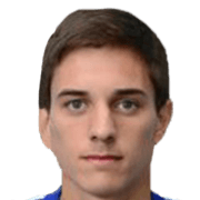 Dario Terzic fm 2020