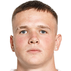 Corvin Aussenegg fm20