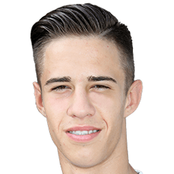 Nikola Despotovic fm20