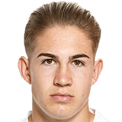 Robin Linhart fm 2020