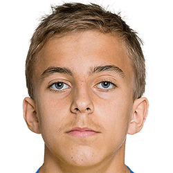 Alan Hjulström fm 2020