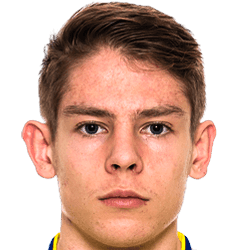 Alex Larsson fm 2020