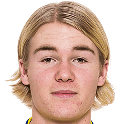 Melvin Appelberg fm20