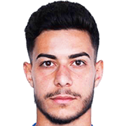 Gabriel Nedelea fm20