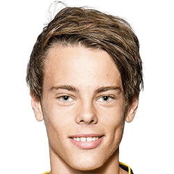 Joel Wiktorsson fm20