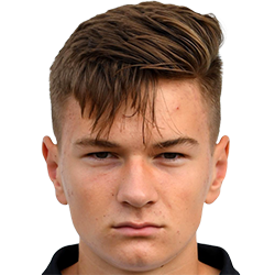 Armin Majanovic fm 2020