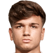 Aleksandar Skrbic fm20