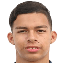 Fernando Ordoñez fm20