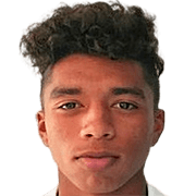 Gerson Vázquez fm20