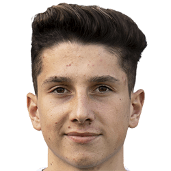 Tarik Ibrahimagic fm 2020