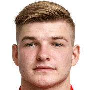 Elvedin Buljubasic fm 2020