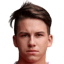 Sebastian Paier fm 2020