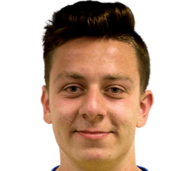 Kamil Dziwulski fm20