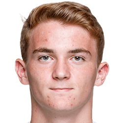 Maximilian Schmid fm20