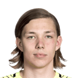 Julius Lindgren fm 2020