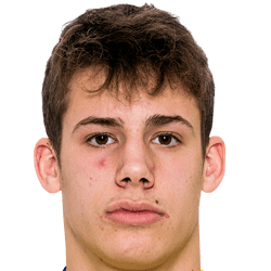 Gabriel Wallentin fm20