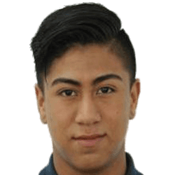 Neder Hernández fm20