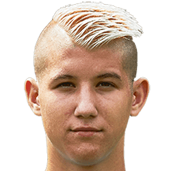 Darius Ghindovean fm 2020