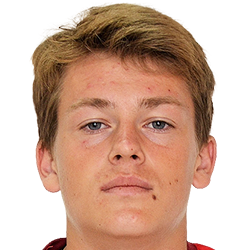 Lev Safronov fm 2020