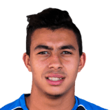 Zakaria Grich fm19