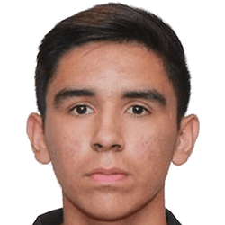 Luis Ernesto Ruiz fm20