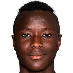 Housseinn Nightingale fm19