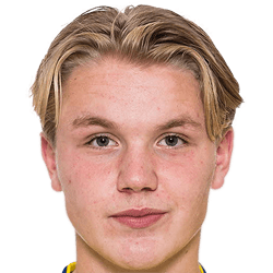 Teodor Wålemark fm19