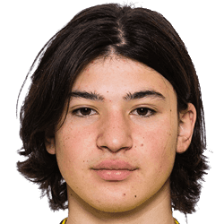 Nemanja Jankovic fm19