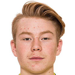 Linus Borgström fm19