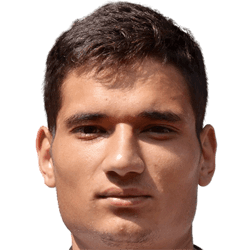 Zoran Mihailovic fm 2019