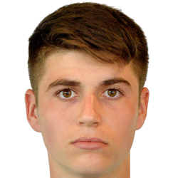 Radu Bîrzan fm 2019