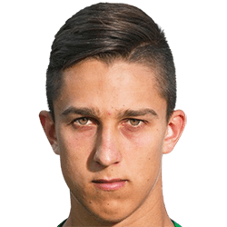 Haris Kadric fm 2019