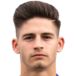 Mario Vucenovic fm 2019