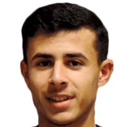 Amir Lemti fm19