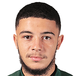 Mohamed Seddiki fm19