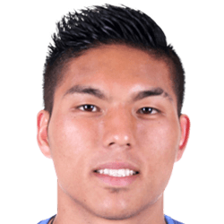 Hideyoshi Arakaki fm19