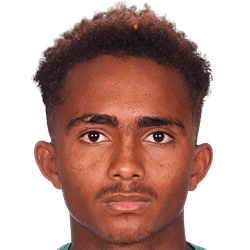 Thibaut Aubertin fm21