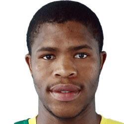 Romario Dlamini fm21