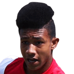 Fernando Lourens fm21