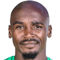 Donald Dzvinyai fm21