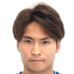 Hikaru Minegishi fm21