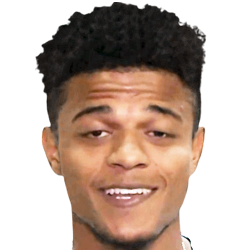 Adrian Williams fm21